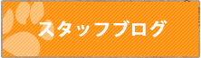 スタッフブログ