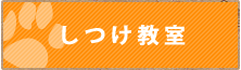 しつけ教室