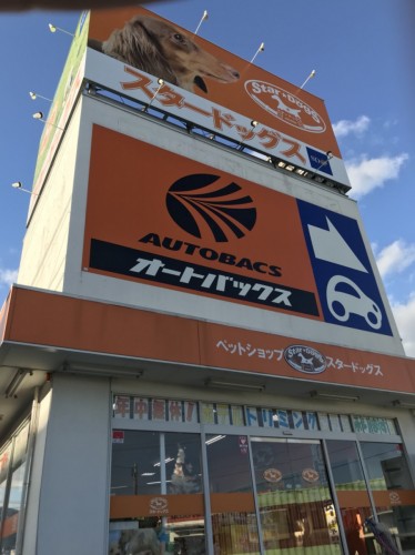 写真 2017-11-09 16 52 21