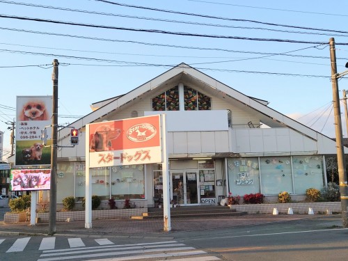 990B0FF0-BB17-460D-84F1-674F238BF405