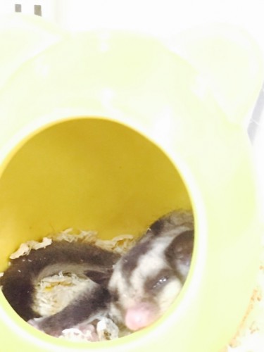 写真 2015-07-30 14 01 12