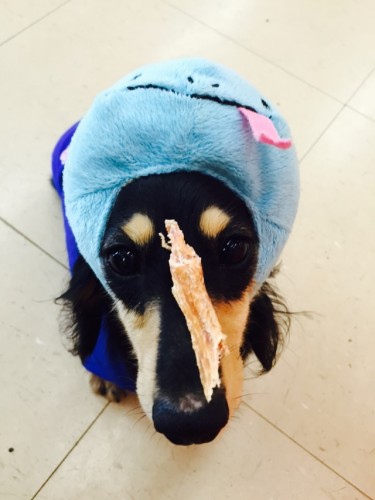 写真 2015-07-09 12 24 25