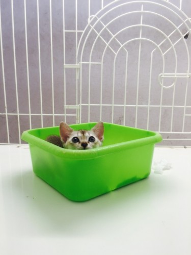 写真 2015-07-30 14 03 25