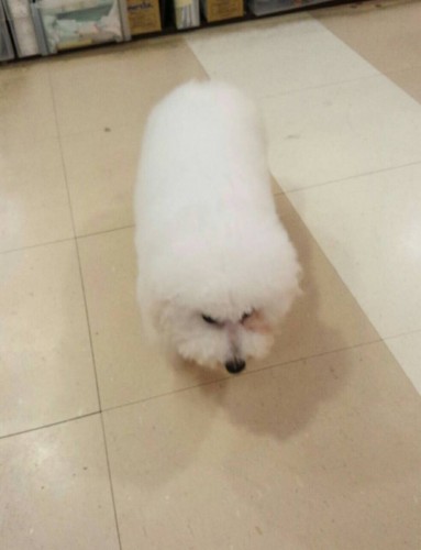 ファイル 2015-07-10 19 38 54