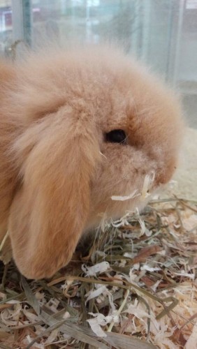 写真 2015-07-16 14 52 37