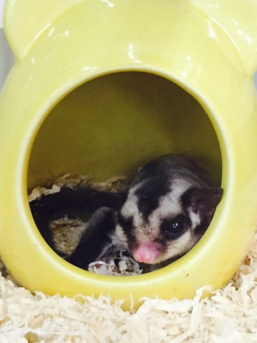 写真 2015-07-30 14 01 39 (1)