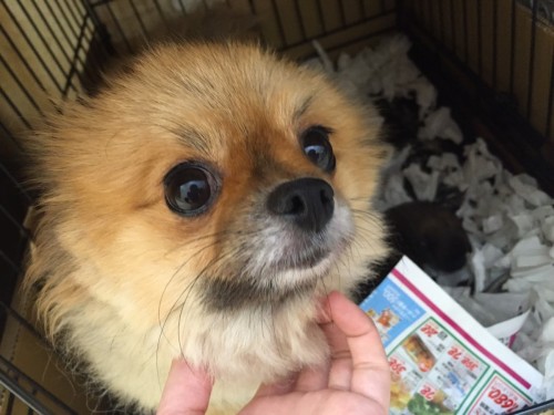 ファイル 2015-07-15 13 45 23