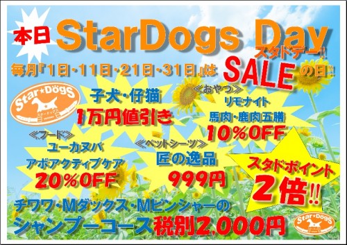 スタドデー鳥栖POP