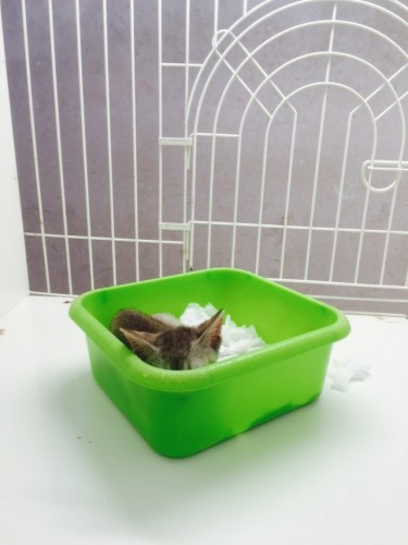 写真 2015-07-30 14 02 40