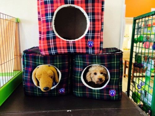 ファイル 2015-07-07 20 26 48