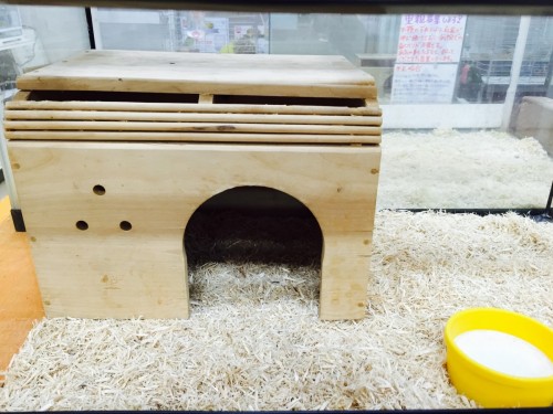 ファイル 2015-07-28 16 40 34