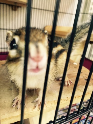 写真 2015-07-01 18 13 37