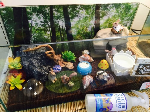 ファイル 2015-06-30 19 12 31