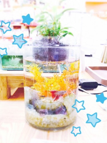 ファイル 2015-07-22 18 36 38