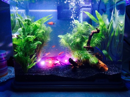 ファイル 2015-07-22 18 36 25