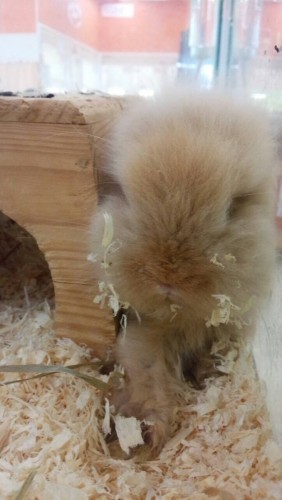 写真 2015-07-16 14 52 31