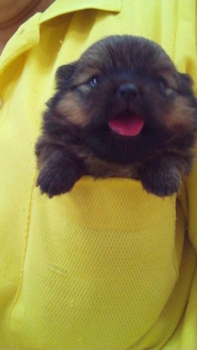 写真 2015-07-28 17 19 39