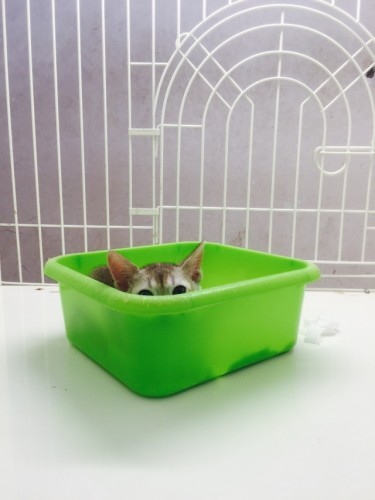 写真 2015-07-30 14 02 56