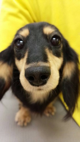 ファイル 2015-07-07 21 08 21