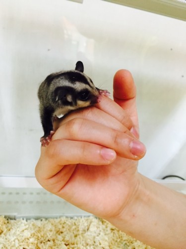 写真 2015-07-28 15 56 50