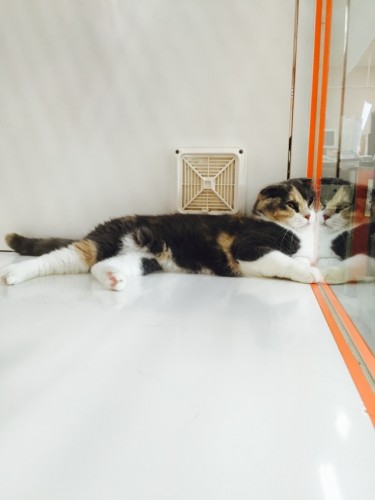 写真 2015-07-09 12 14 31