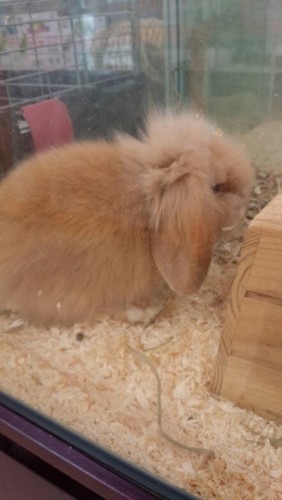 写真 2015-07-16 14 52 34