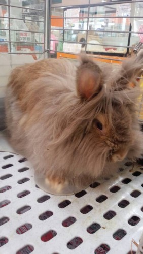 写真 2015-07-16 14 52 40