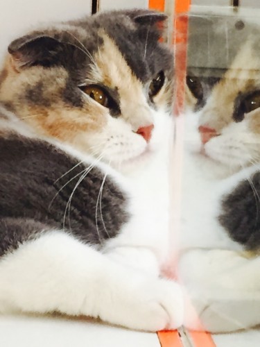 写真 2015-07-09 12 14 37