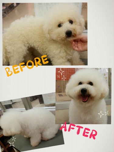 ファイル 2015-07-10 18 42 04