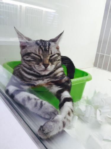 写真 2015-08-04 11 46 54