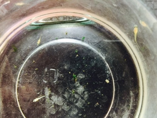 写真 2015-08-28 12 10 38