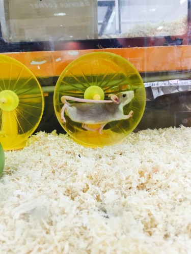 ファイル 2015-08-05 11 12 55