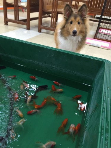 写真 2015-08-21 18 07 14