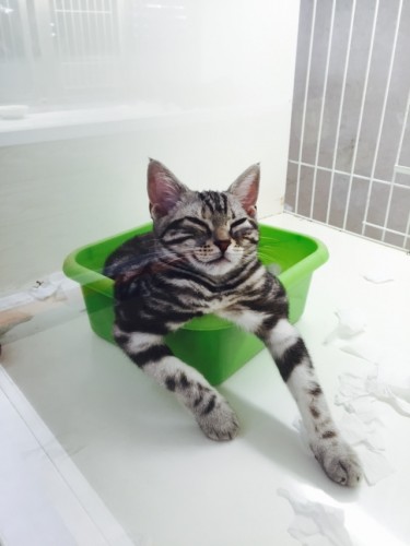 写真 2015-08-04 17 51 15