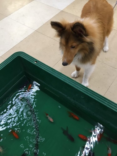 写真 2015-08-21 18 08 09