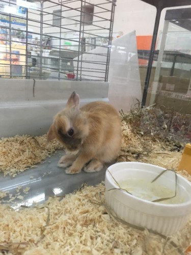 写真 2015-08-13 15 47 31