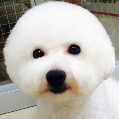 ファイル 2015-09-29 17 39 35