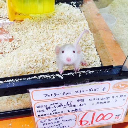 写真 2015-09-16 10 14 37