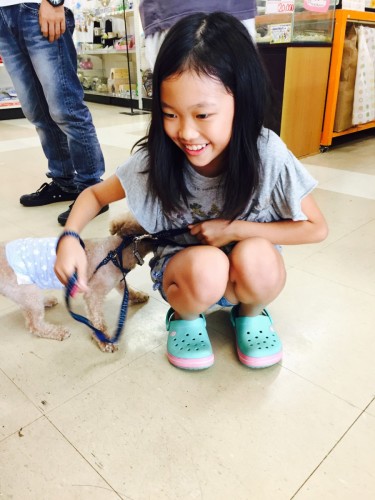 ファイル 2015-09-06 16 50 13