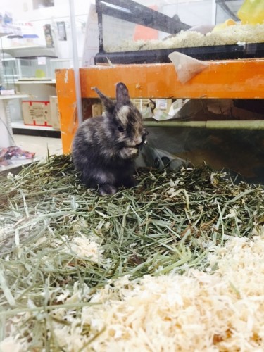 写真 2015-09-13 18 47 12