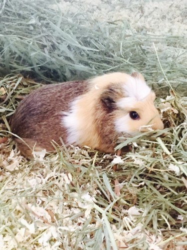 写真 2015-09-24 11 51 01