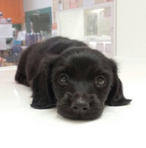 写真 2015-09-28 17 48 19