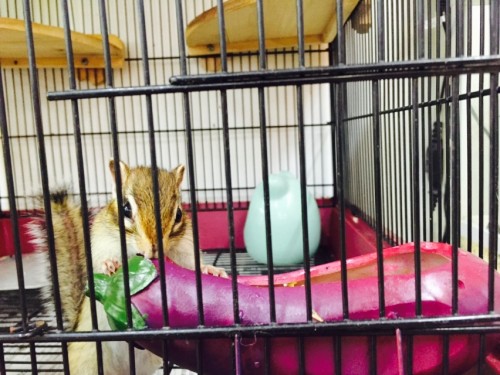 写真 2015-09-05 16 09 02