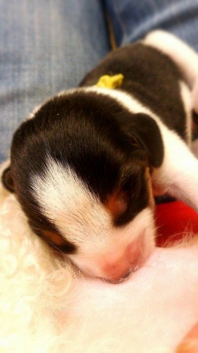 ファイル 2015-09-11 19 25 12