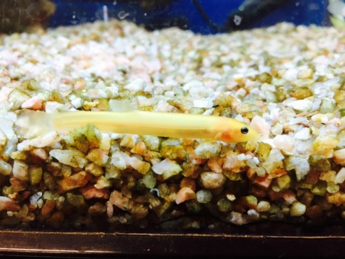 写真 2015-09-23 15 21 54