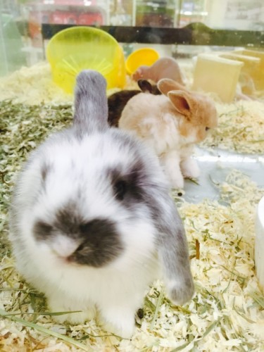 写真 2015-09-13 18 47 51