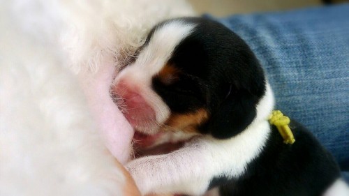 ファイル 2015-09-11 19 25 23