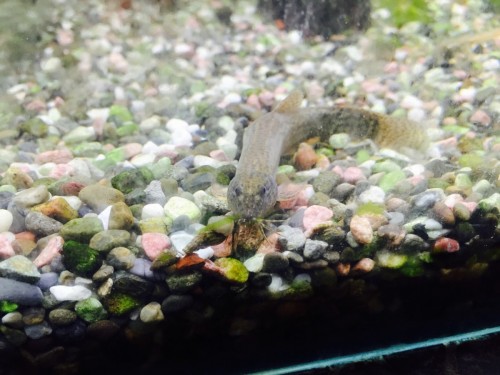 写真 2015-09-23 13 48 36