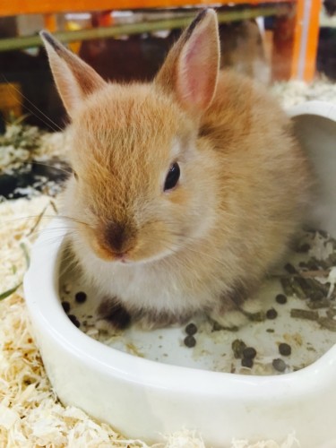 写真 2015-09-13 18 47 18