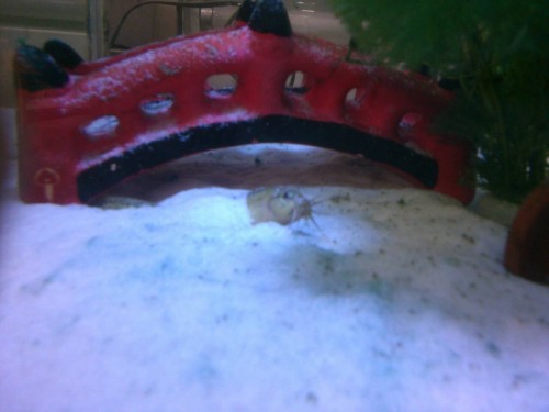 写真 2015-09-25 12 59 07